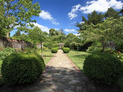 Picture 19
